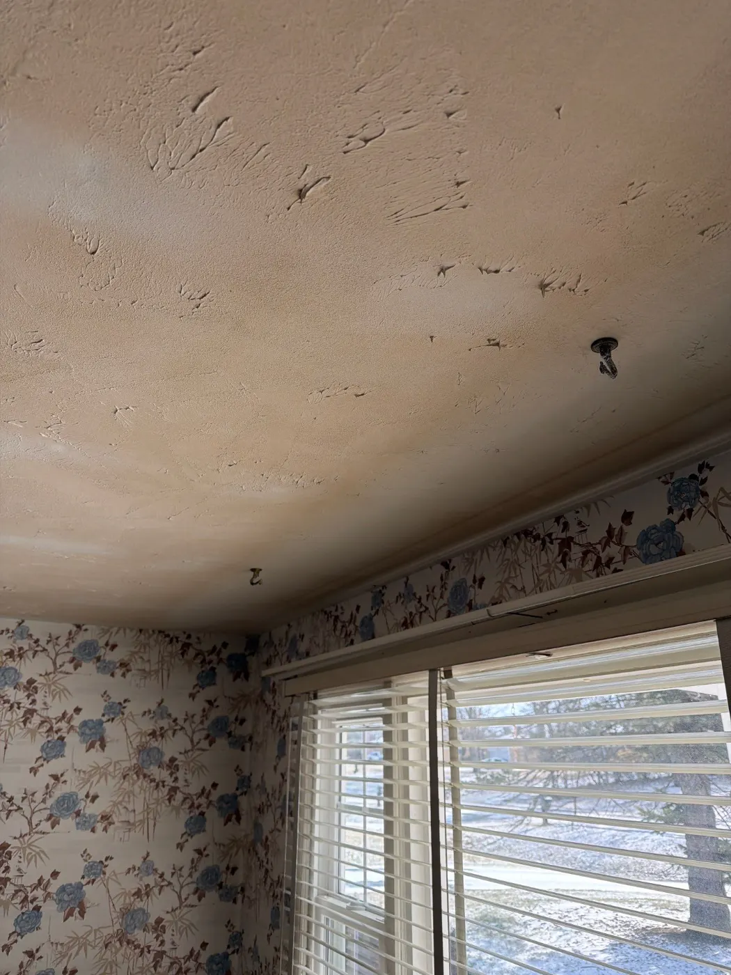 Thermal imaging during water damage assessment in Hilltop residence